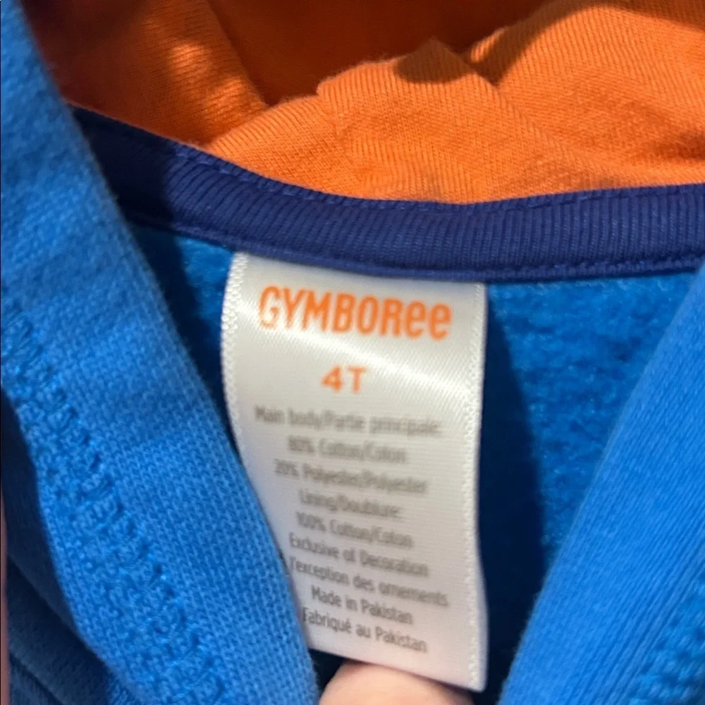 Gymboree Boys Dino Colorblock Fleece Hoodie - Dino Friends